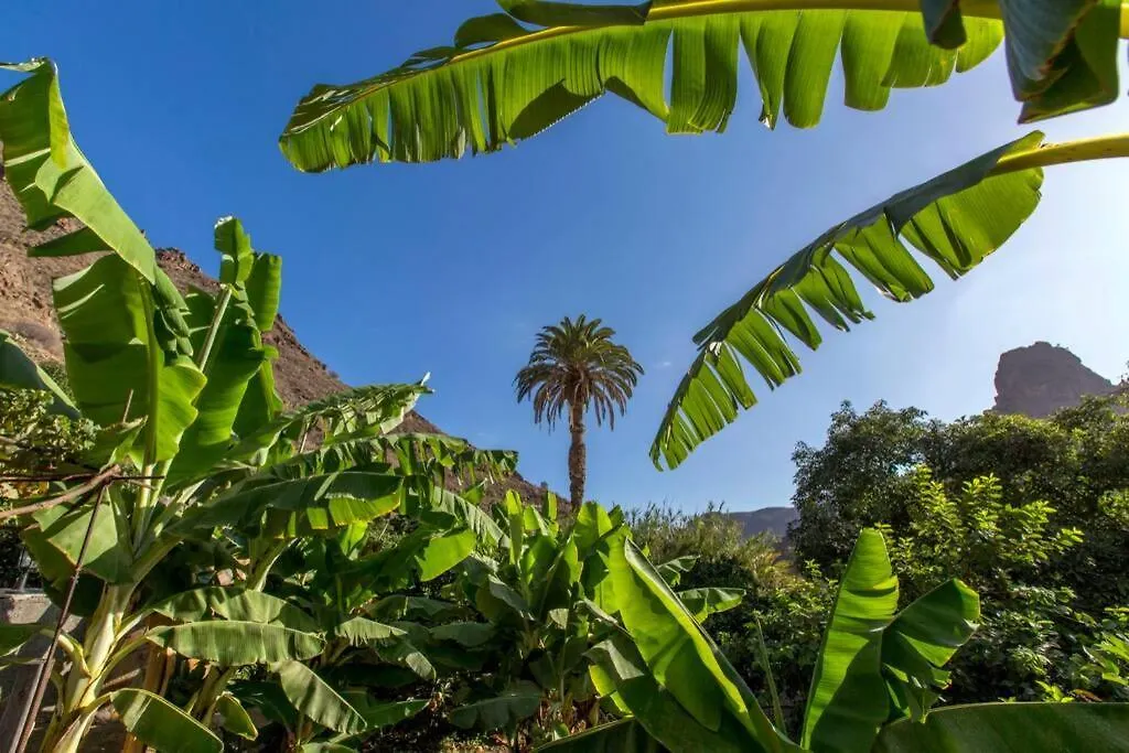 Vivienda Vacacional La Finca Los Palmitos Holiday home